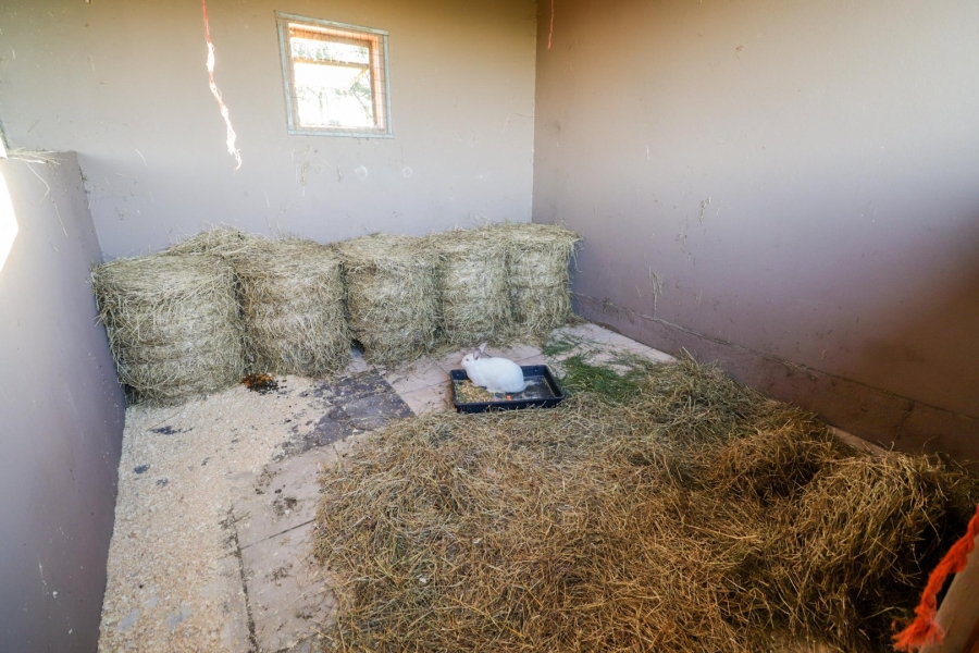 Commercial Property for Sale in Rondevlei Western Cape